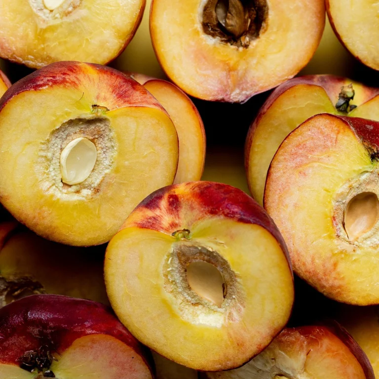 Instagram post from callistersoda. This post is in position 1.