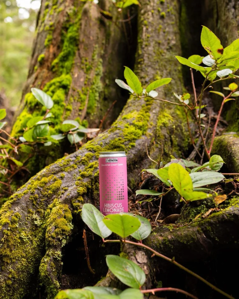 Instagram post from callistersoda. This post is in position 2.