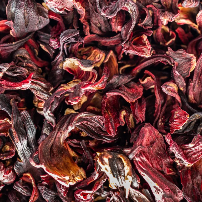 Instagram post from callistersoda. This post is in position 2.